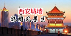 大骚逼操大黑鸡巴免费视频中国陕西-西安城墙旅游风景区