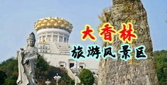 cao小骚B正在播放中国浙江-绍兴大香林旅游风景区